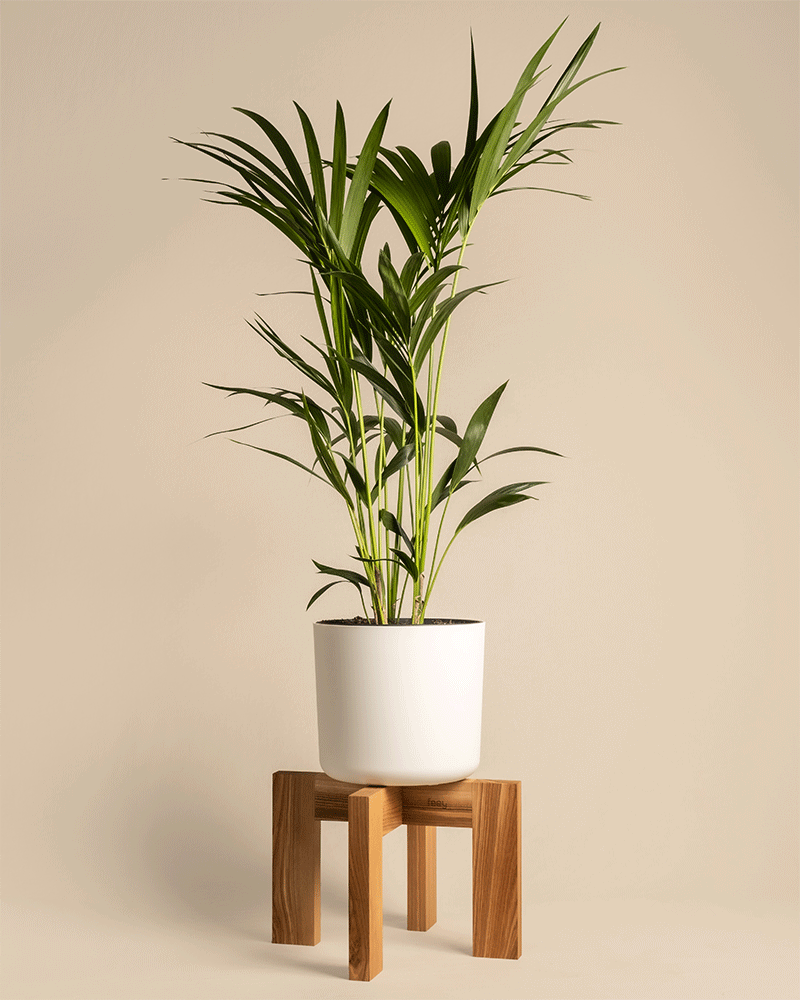 Pflanzenständer (Heviton | 37 cm Ø)