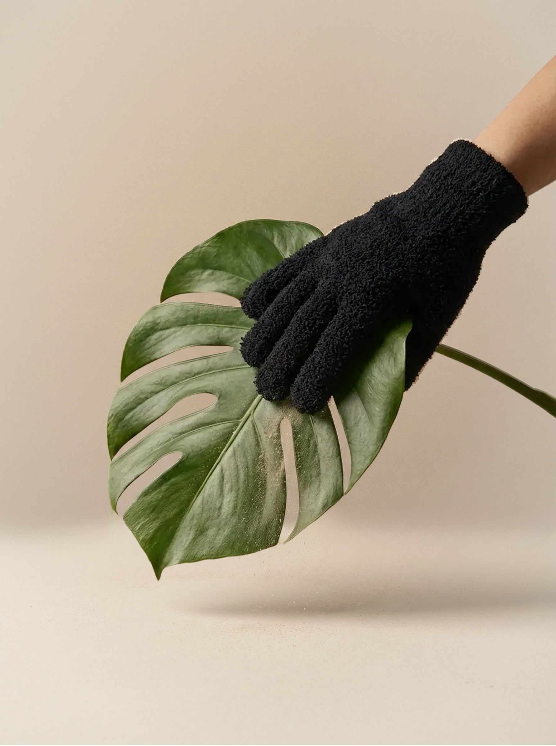 Eine Hand wischt mit einem schwarzen Staubhandschuh sanft den Staub von einem großen grünen Monstera-Blatt - ideal für die Reinigung von Zimmerpflanzen - vor einem neutralen beigen Hintergrund.