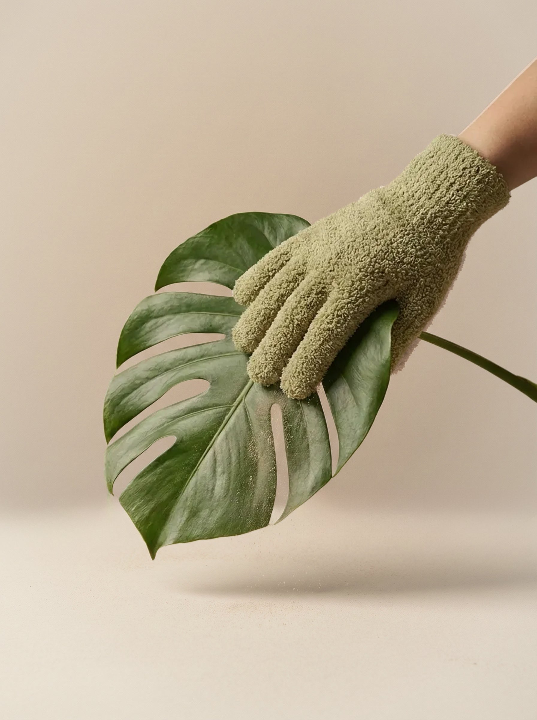 Eine Hand in einem strukturierten, hellgrünen Staubhandschuh hält sanft ein großes Monstera-Blatt vor einem beigen Hintergrund - ideal zum Bestäuben von Zimmerpflanzen.