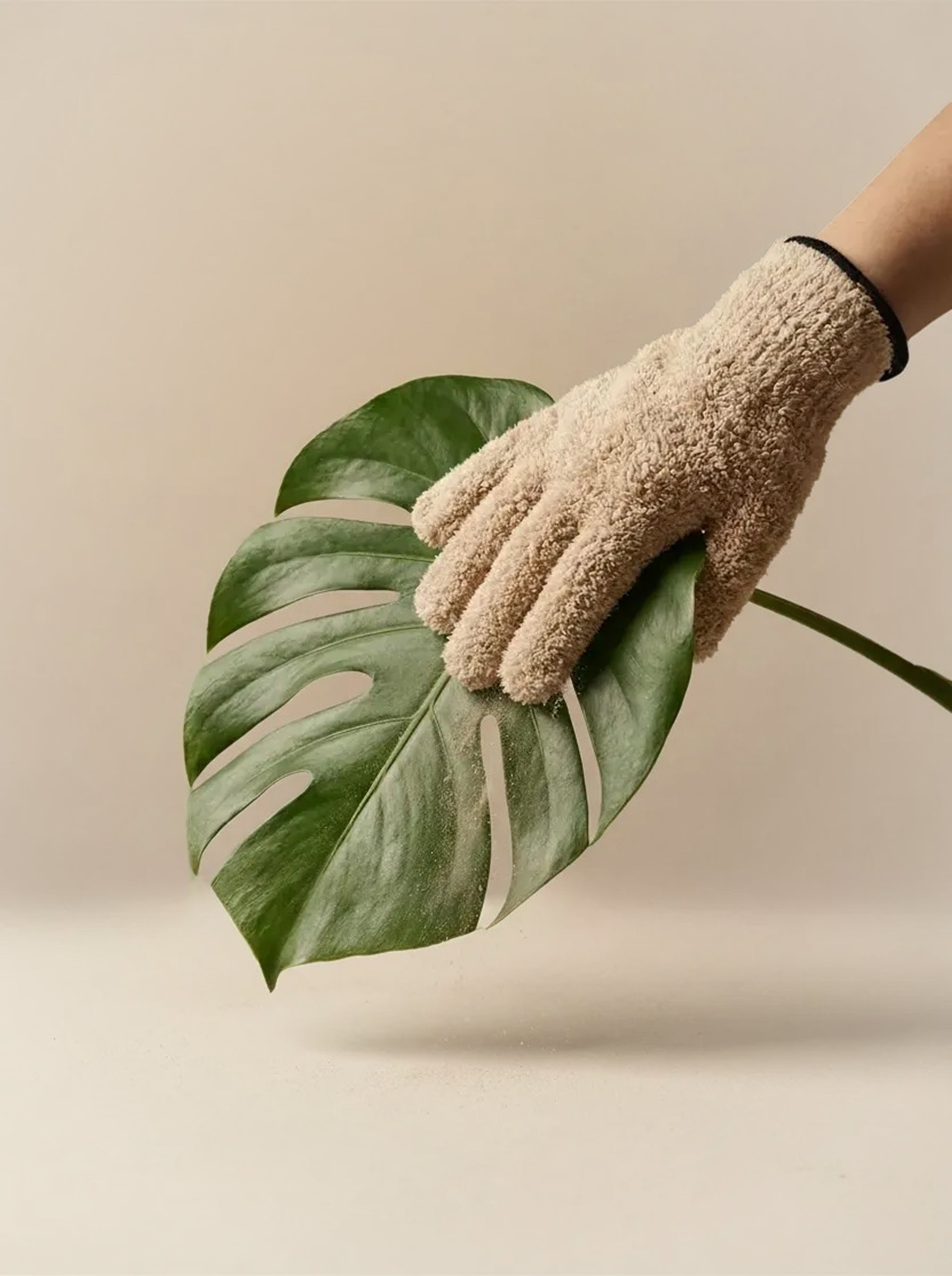 Eine Hand, die einen beigen Staubhandschuh trägt, reinigt sanft ein großes grünes Monstera-Blatt, das sich ideal zum Entfernen von Blattstaub und zum Abstauben von Zimmerpflanzen eignet, vor einem neutralen Hintergrund.
