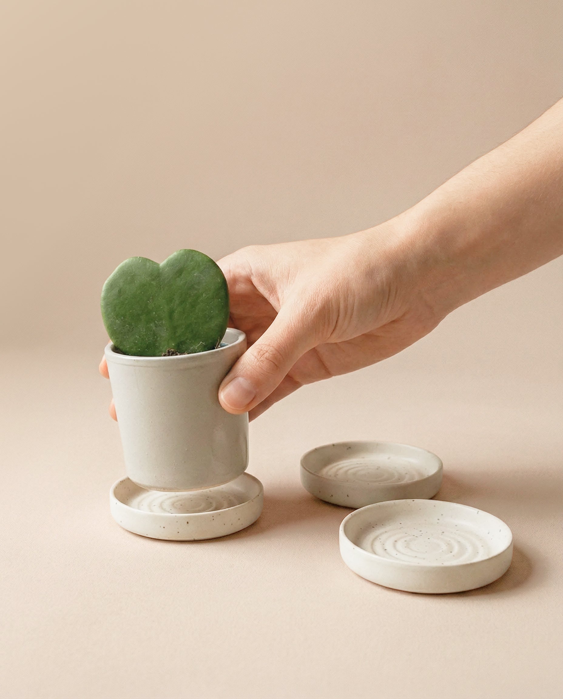 Eine Hand hält einen kleinen weißen Topf mit einer herzförmigen grünen Pflanze. In der Nähe sind Babypflanzen-Untersetzer aus Keramik (Plattino | 3 Stk.) auf einer beigen Fläche angeordnet.