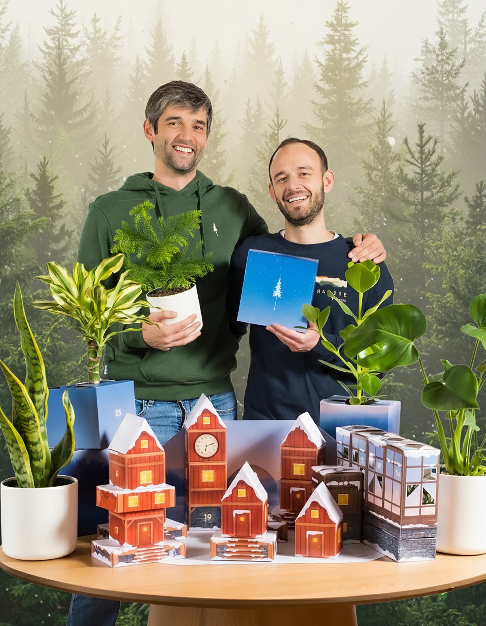 Pflanzen Adventskalender | NIKIN-Special (Dschungel-Version)