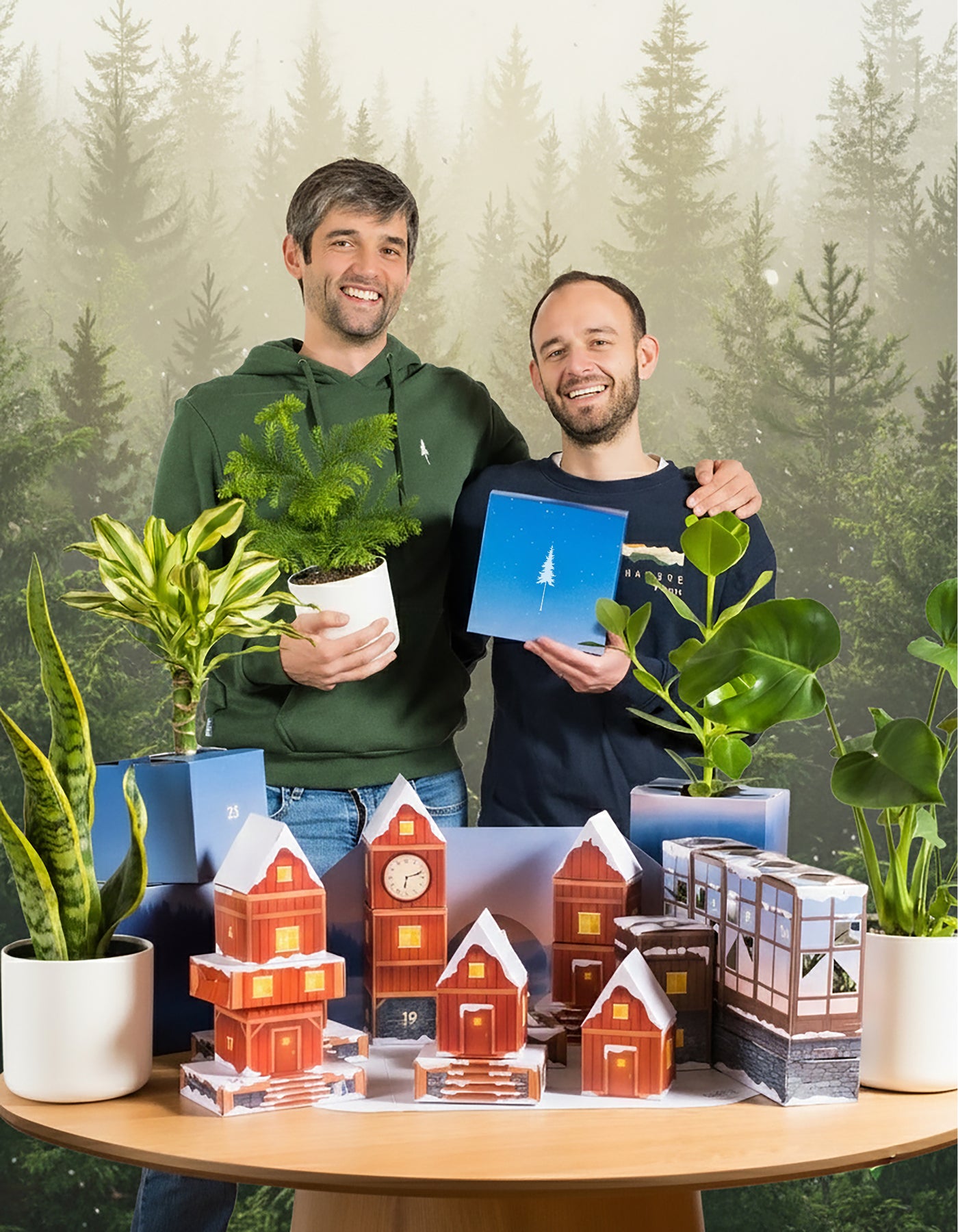 Pflanzen Adventskalender | NIKIN-Special (Dschungel-Version)