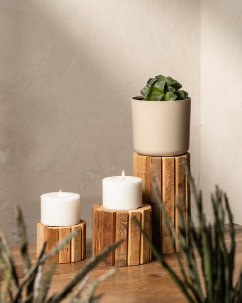 Kerzen stehen auf Holzständern unterschiedlicher Höhe mit einer Haworthia retusa in limitierter Auflage. Die Szene zeigt eine strukturierte beige Wand mit verschwommenen Pflanzen im Vordergrund, die eine ruhige, natürliche Atmosphäre schaffen.