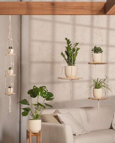 Ein stilvolles Wohnzimmer fängt die Atmosphäre des Homeoffice-Pflanzen-Sets mit einem weißen Sofa mit Holzbeinen ein, umgeben von Hängepflanzen in beigen Töpfen. Monstera und Glücksfeder sorgen für üppige Textur, während sanftes Licht Schatten an die Wand wirft.