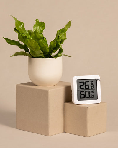 Ein Hygrometer zeigt Temperatur und Luftfeuchtigkeit auf beigen Blöcken neben einer kleinen Topfpflanze mit grünen Blättern vor einem beigen Hintergrund an. Die angezeigte Temperatur beträgt 26 °C und die Luftfeuchtigkeit 60 %.