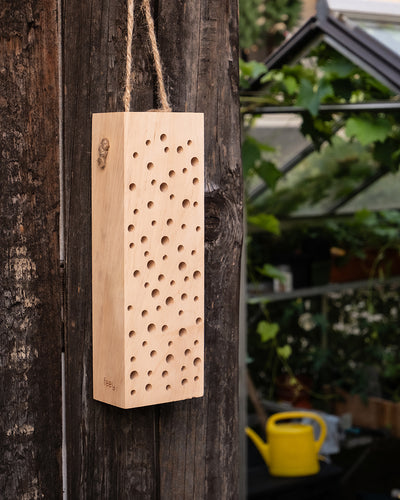 An einer rustikalen Holzwand hängt ein Insektenhotel „Erbienbi“ aus Holz mit zahlreichen kleinen Löchern. Es ist mit einem Seil zum einfachen Aufhängen ausgestattet. Im Hintergrund ist ein Gewächshaus voller Pflanzen und einer gelben Gießkanne zu sehen, die eine einladende Umgebung für das harmonische Gedeihen von Wildbienen schaffen.