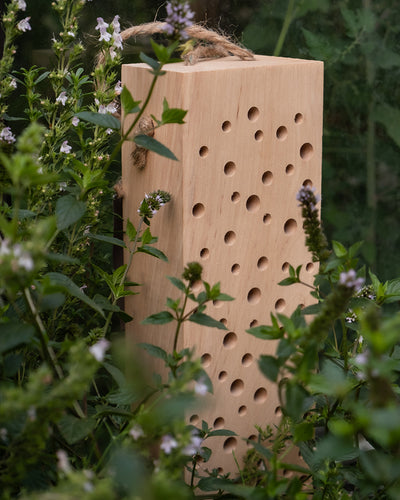 Wir präsentieren das Insektenhotel „Erbienbi“, eine bezaubernde Holzkonstruktion mit zahlreichen runden Löchern. Eingebettet zwischen üppigen grünen Pflanzen und leuchtenden Blumen verfügt es über einen stabilen Seilgriff an der Oberseite und ist damit perfekt geeignet, um Wildbienen in Ihr Gartenparadies zu locken.