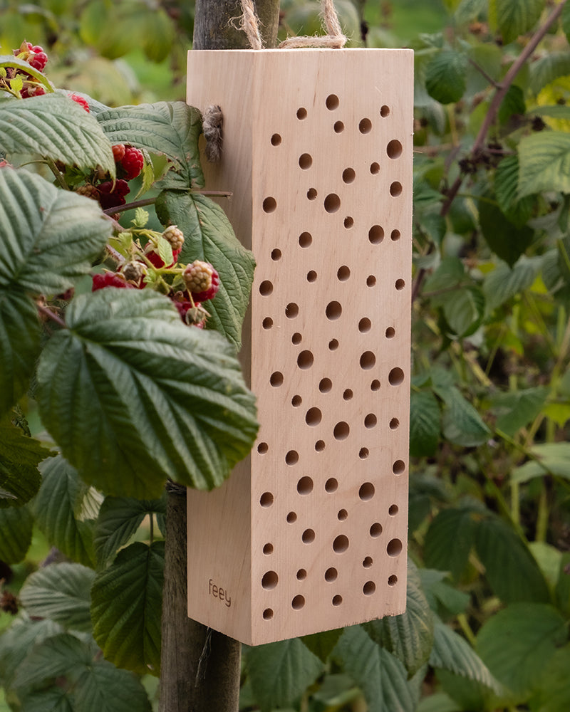 Ein „Erbienbi“-Insektenhotel aus Holz mit zahlreichen kreisrunden Löchern hängt an einer Stange inmitten von Himbeerpflanzen. Das Hotel verfügt über ein Seil zum Aufhängen und ist von üppigen grünen Blättern und reifen roten Beeren umgeben.