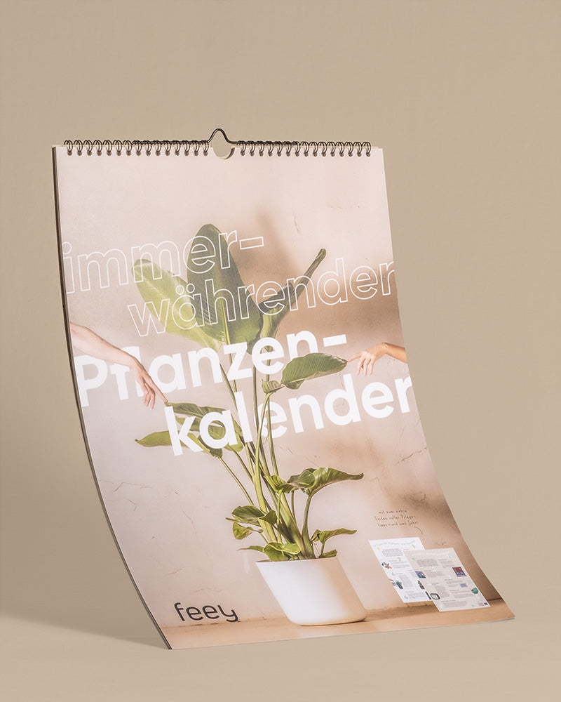 Vor beigem Hintergrund hängt ein Wandkalender, auf dem eine Topfpflanze abgebildet ist. Das Cover, geziert mit dem Text 