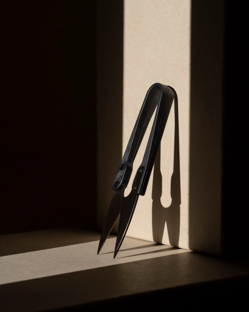 Ein Paar kleiner Pflanzenscheren steht aufrecht auf einer Oberfläche und wirft einen scharfen Schatten auf eine beige Wand, die in einem ansonsten dunklen Raum vom Sonnenlicht beleuchtet wird.
