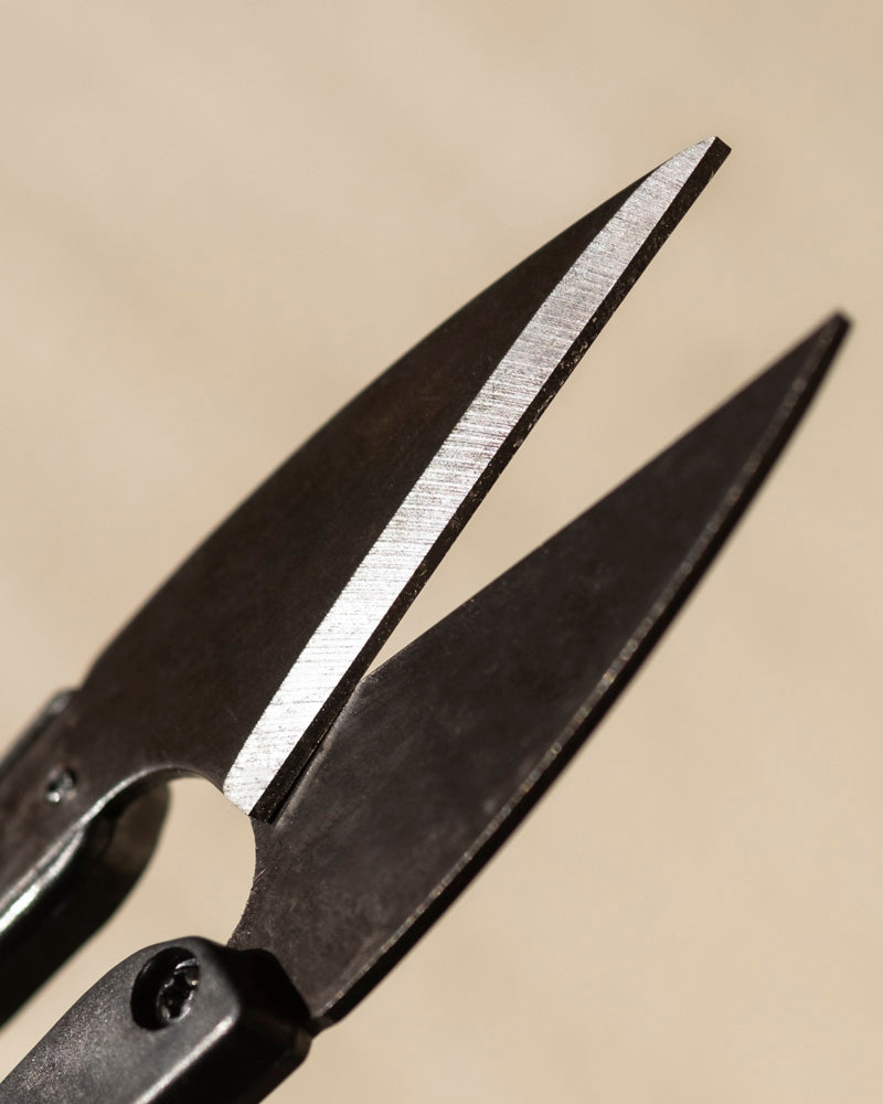 Nahaufnahme einer scharfen, schwarzen Kleinen Pflanzenschere mit spitzen, leicht geöffneten Klingen vor einem unscharfen beigen Hintergrund.