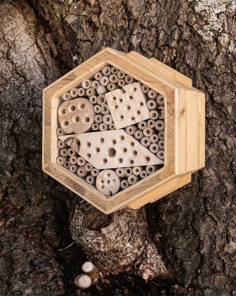 Auf einem Baumstamm ist ein sechseckiges Bienenhotel aus Holz montiert, gefüllt mit Bambusrohren, Holzklötzen mit gebohrten Löchern und Tannenzapfen, das solitären Wildbienen Schutz bietet. Die Rinde des Baumes bildet den Hintergrund.
