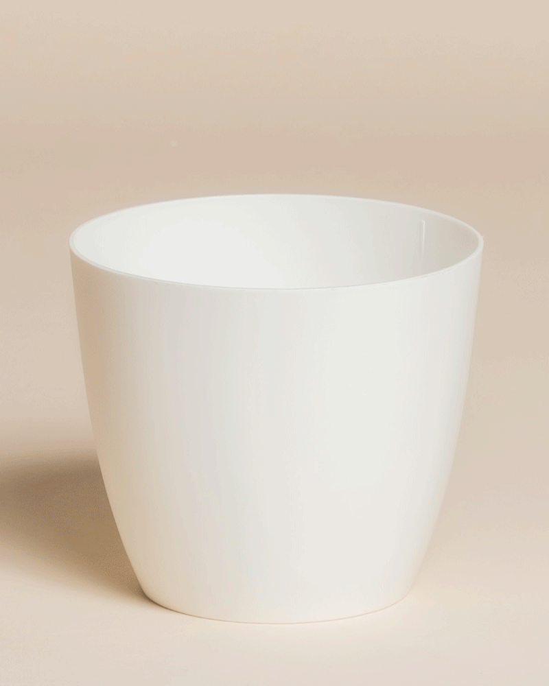 Ein weißer, runder Kunststoff-Topf (Kiki | 11 cm Ø) sitzt auf einer beigen Fläche mit passendem Hintergrund. Mit seiner glatten, glänzenden Oberfläche und seinem minimalistischen Design ist er ideal für moderne Zuhause Deko.