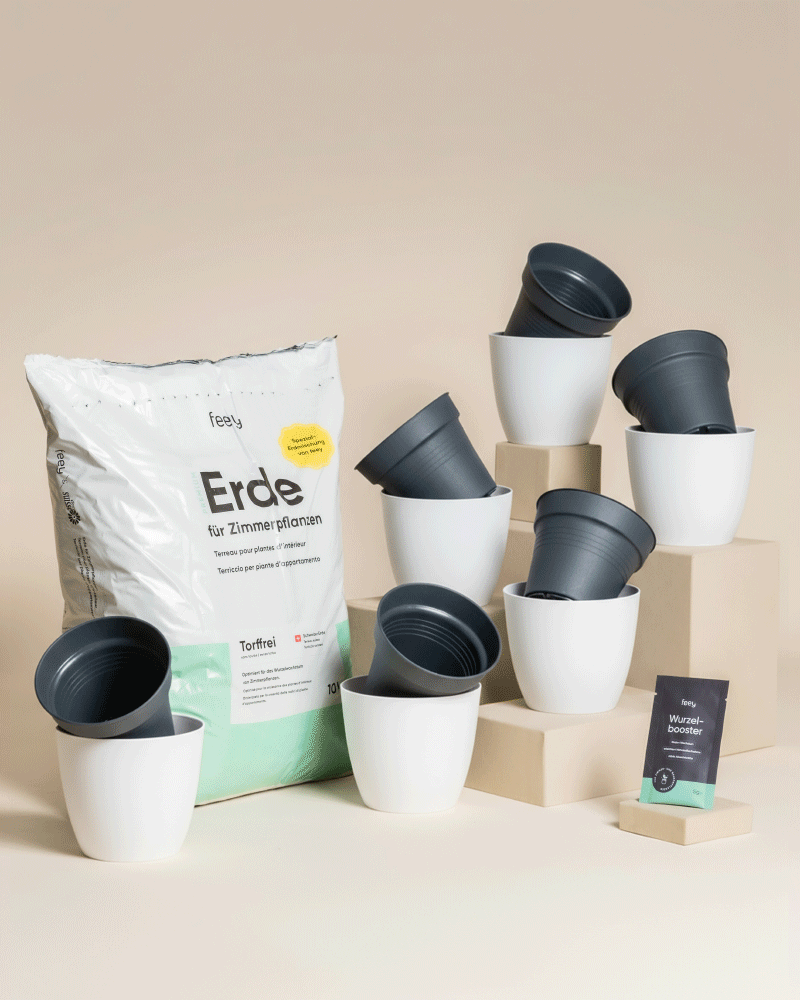 Eine Gruppe weißer und grauer Pflanzentöpfe aus dem Umtopfset für Babypflanzen steht auf beigen Blöcken, daneben eine große Tüte frische Erde und ein Saatgutpaket - eine ideale Anordnung zum Umtopfen, alles vor einem neutralen Hintergrund.