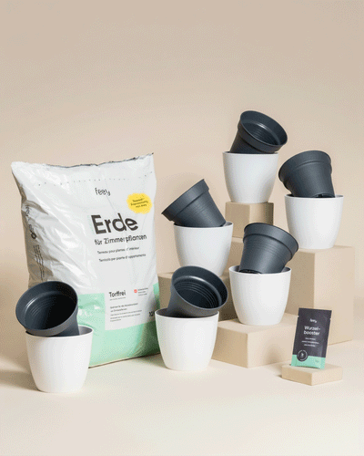 Eine Gruppe weißer und grauer Pflanzentöpfe aus dem Umtopfset für Babypflanzen steht auf beigen Blöcken, daneben eine große Tüte frische Erde und ein Saatgutpaket - eine ideale Anordnung zum Umtopfen, alles vor einem neutralen Hintergrund.