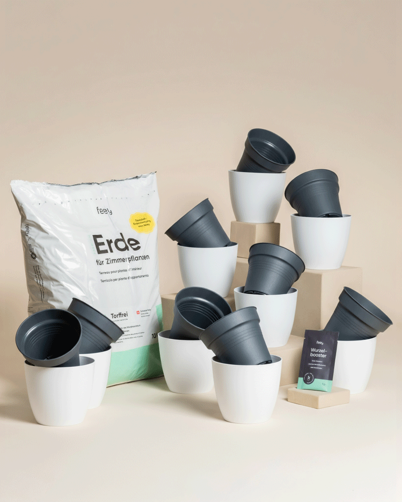Ein Set weißer Pflanzentöpfe mit dunkelgrauen Einsätzen steht auf Holzblöcken neben einer Tüte frische Erde und einem Saatgutpaket - ideal für Ihr nächstes Umtopfset für Babypflanzen - vor einem neutralen Hintergrund.
