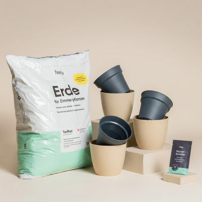 Das Umtopfset für Babypflanzen enthält einen Beutel frische Erde, vier beigefarbene Pflanzentöpfe mit grauem Innentopf und ein Wurzelbooster-Paket, alles auf beigem Hintergrund.