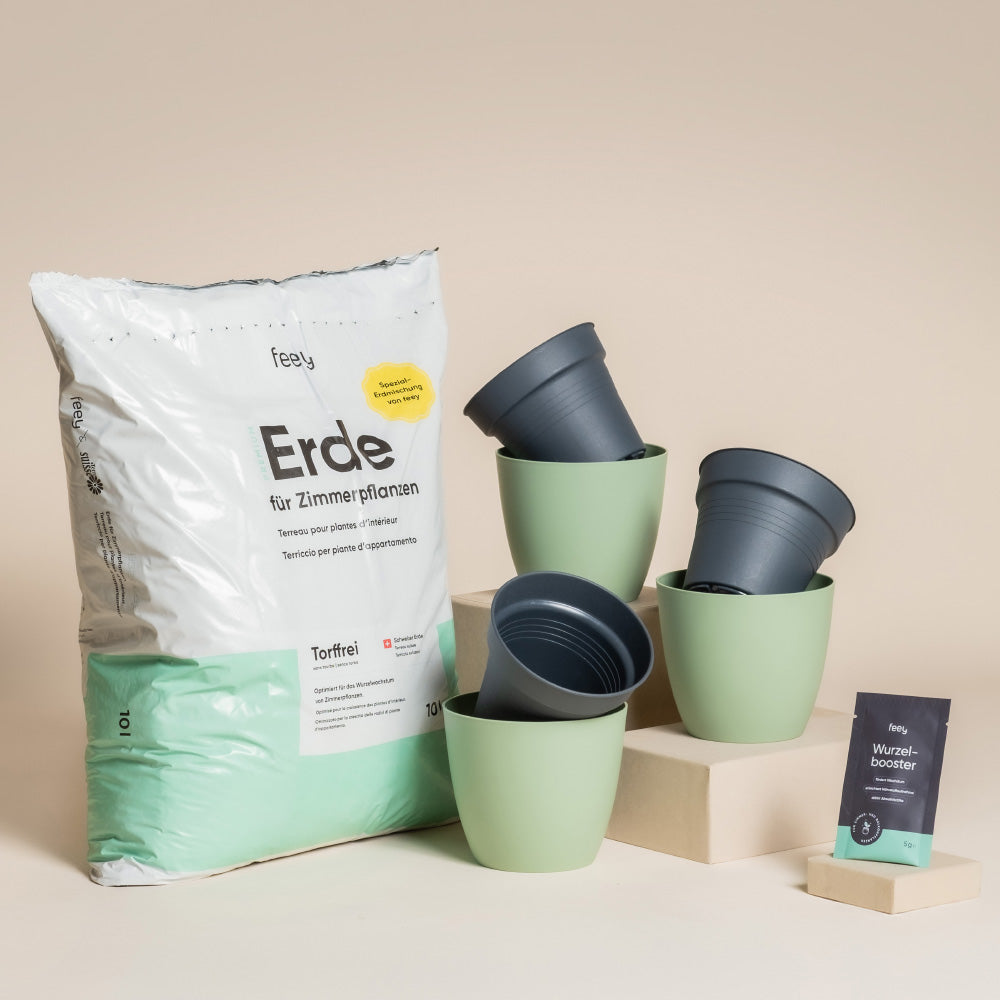 Das Umtopfset für Babypflanzen enthält Blumenerde, drei grüne Töpfe mit grauen Einsätzen, eine Wurzelbooster-Box und zwei beigefarbene Blöcke, die alle auf einem neutralen Hintergrund stehen.