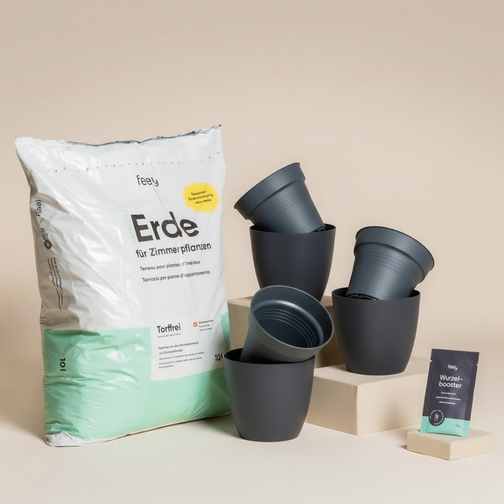 Ein Umtopfset für Babypflanzen, bestehend aus frischer Erde, fünf dunkelgrauen Pflanzentöpfen (einer davon umgekippt), einer kleinen Schachtel und einem "Wurzelbooster"-Paket, angeordnet auf einer beigen Fläche mit neutralem Hintergrund.
