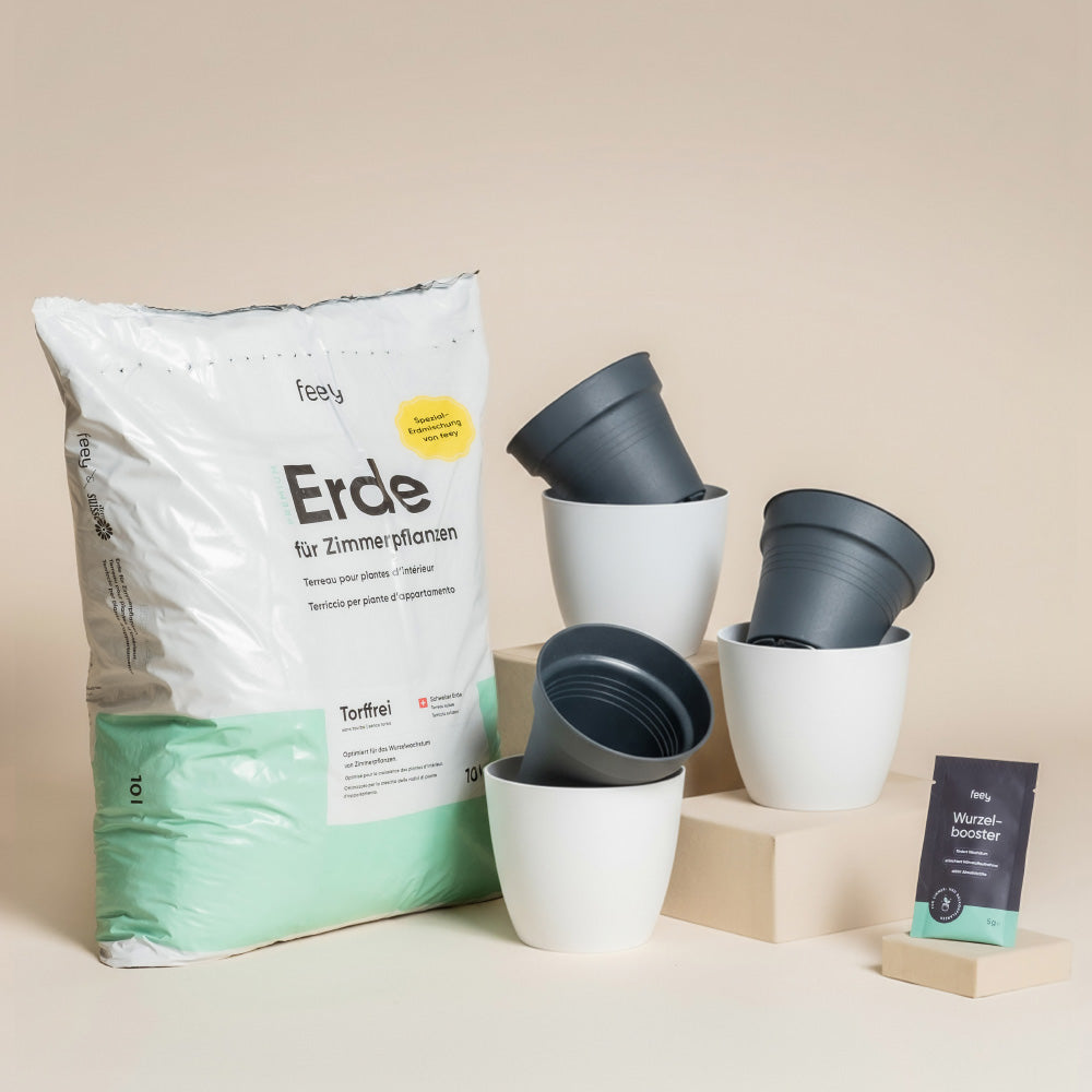 Das Umtopfset für Babypflanzen besteht aus frischer Erde, fünf schwarzen Pflanzentöpfen mit weißen Außentöpfen und einem Wurzelbooster-Paket, die alle auf einer beigen Fläche mit zwei hellbraunen Blöcken stehen.