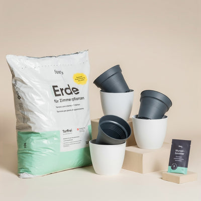 Das Umtopfset für Babypflanzen besteht aus frischer Erde, fünf schwarzen Pflanzentöpfen mit weißen Außentöpfen und einem Wurzelbooster-Paket, die alle auf einer beigen Fläche mit zwei hellbraunen Blöcken stehen.