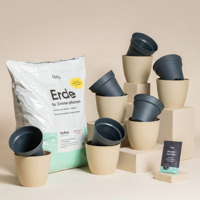 Eine Tüte frische Erde, neun beige und dunkelgraue Pflanzentöpfe und ein kleines Wurzelbooster-Paket stehen auf beigen Sockeln - alles, was Sie für Ihr nächstes Umtopfset für Babypflanzen vor neutralem Hintergrund brauchen.