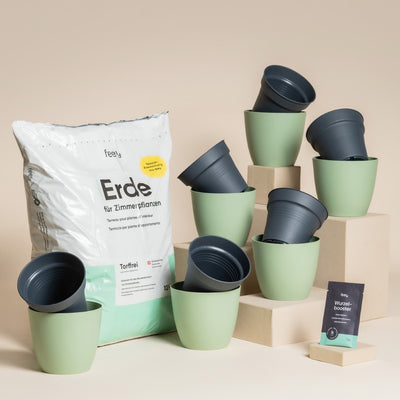 Das Umtopfset für Babypflanzen enthält grüne Pflanztöpfe mit schwarzen Innentöpfen, beige Blöcke, frische Erde und Wurzelbooster - ideal für gesundes Wachstum beim Umtopfen kleiner Pflanzen.