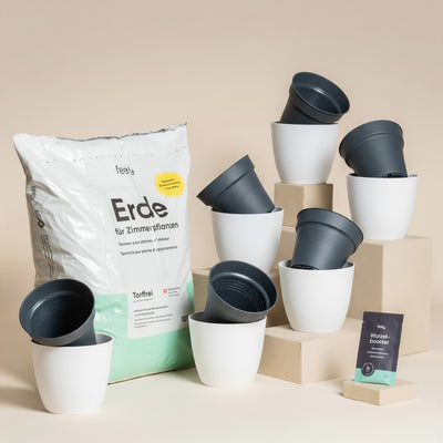 Eine Auslage weißer Pflanzentöpfe mit schwarzer Einlage auf beigen Blöcken, daneben ein großer Sack "Erde für Zimmerpflanzen" und ein kleines Wurzelbooster-Paket - ideal als Umtopfset für Babypflanzen.