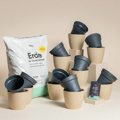 Beigefarbene und dunkelgraue Pflanzentöpfe, ein großer Sack frische Erde und eine kleine Schachtel Wurzelbooster-Düngetabletten sind zusammen arrangiert - perfekt für Ihr nächstes Umtopfset für Babypflanzen.