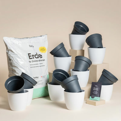 Das Umtopfset für Babypflanzen mit weißen und grauen Töpfen auf beigen Blöcken wird mit einer großen Tüte frische Erde und einer kleinen Packung Wurzelbooster vor einem neutralen Hintergrund gezeigt.