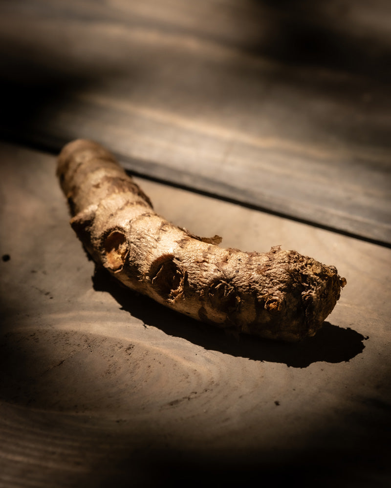 Eine Kurkuma-Wurzel mit strukturierter, rauer Oberfläche liegt auf einem Holztisch. In warmes, weiches Licht getaucht und mit Schattenwurf erstrahlt das Superfood in seiner natürlichen Pracht.