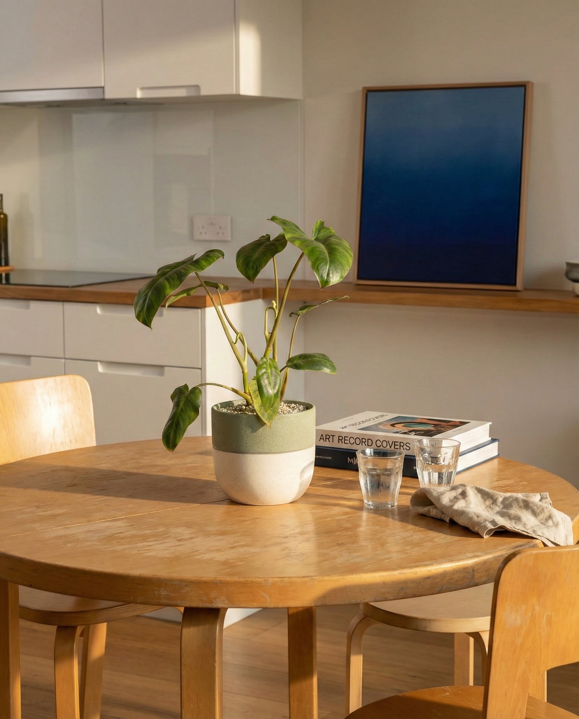 Auf einem sonnenbeschienenen Esstisch aus Holz stehen ein Philodendron 'Paraiso Verde' von feey, zwei Gläser, eine gefaltete Serviette und gestapelte Bücher. Helle Holzstühle umgeben den Tisch, im Hintergrund steht eine minimalistische Kücheneinrichtung.