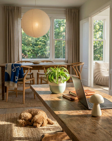 Ein gemütliches Esszimmer mit Holzmöbeln, einer Grünlilie 'Green Bonnie' als charmante Zimmerpflanze, einem Laptop und einer pilzförmigen Lampe auf dem Tisch. Das Sonnenlicht fällt durch die großen Fenster, während ein Hund auf dem Teppich ein Nickerchen macht.