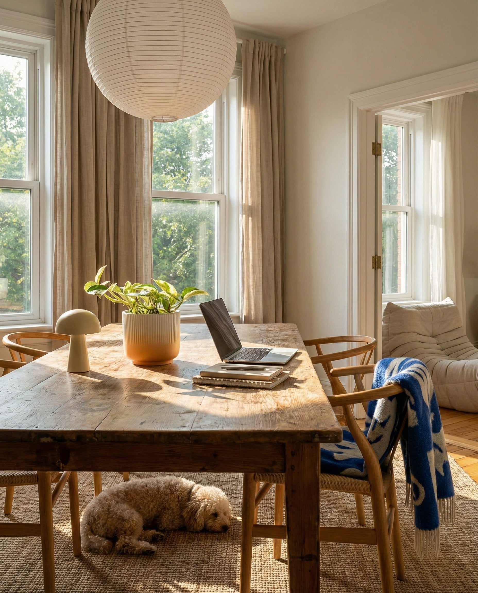 Ein gemütliches, sonnendurchflutetes Esszimmer mit einem Holztisch, einem Laptop, Büchern, einer Efeutute 'Marble Queen' - feey Topfpflanze und einer Lampe. Vier Holzstühle umgeben den Tisch. Ein Hund liegt auf dem Boden, während beigefarbene Vorhänge große Fenster einrahmen, die natürliches Licht hereinlassen.