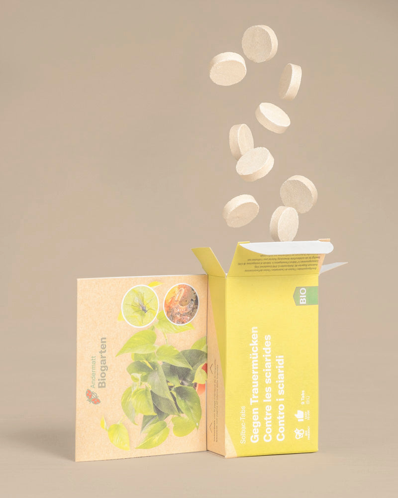 Ein gelb-beiger Kasten mit Pflanzenbildern und der Aufschrift 