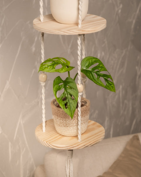 Eine kleine Monstera adansonii „Mint“-Babypflanze mit grünen Blättern und Löchern steht auf einem mit Seilperlen geschmückten Hängeregal aus Holz vor einer strukturierten hellen Wand und unterstreicht Ihren Pflanzenpflegestil mit natürlicher Eleganz.