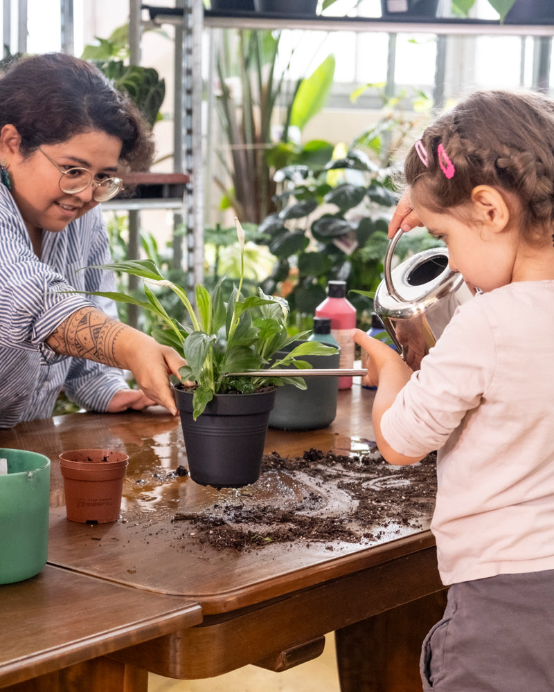 Familiennachmittage mit Lehrer und Kindern beim Umtopfen einer Pflanze