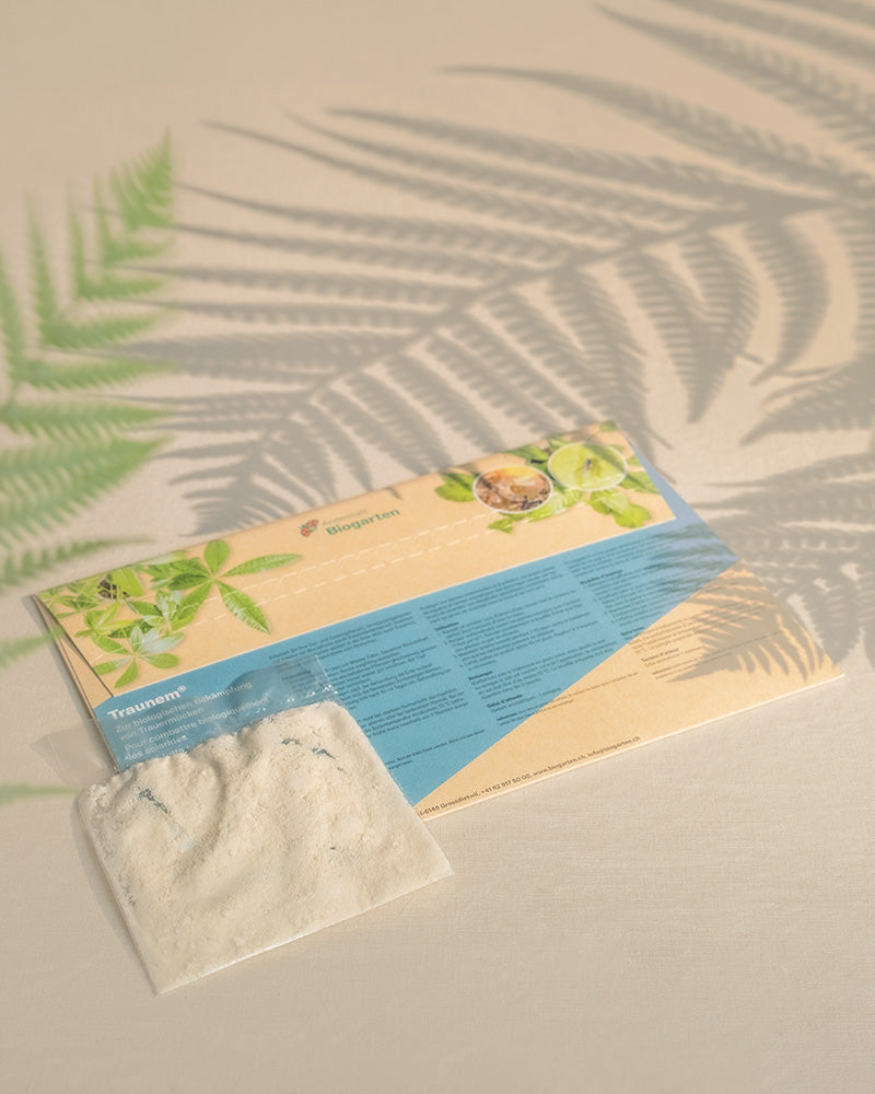 Briefumschlag Rückseite und Plastik Säckchen mit den Nematoden