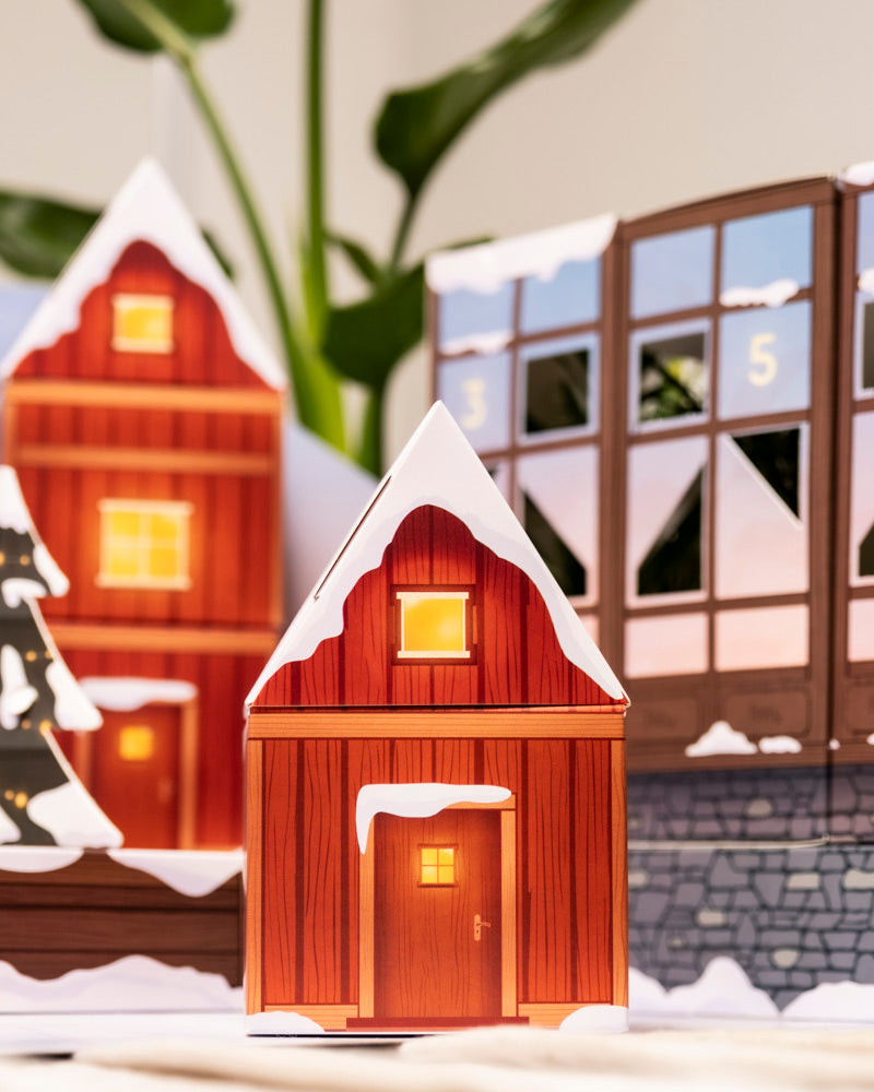 Vor dem Pflanzen-Adventskalender mit nummerierten Fenstern und einer verschneiten Winterlandschaft steht ein festliches Papierhaus mit Schnee und leuchtenden Fenstern in Großaufnahme - perfekt für Liebhaber pflegeleichter Pflanzen.