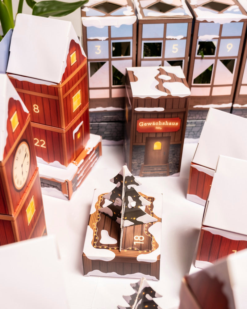 Der Pflanzen-Adventskalender zeigt schneebedeckte Gebäude aus Pappe mit nummerierten Türen und einem Weihnachtsbaum in der Mitte, die alle so angeordnet sind, dass sie ein charmantes kleines Winterdorf darstellen.