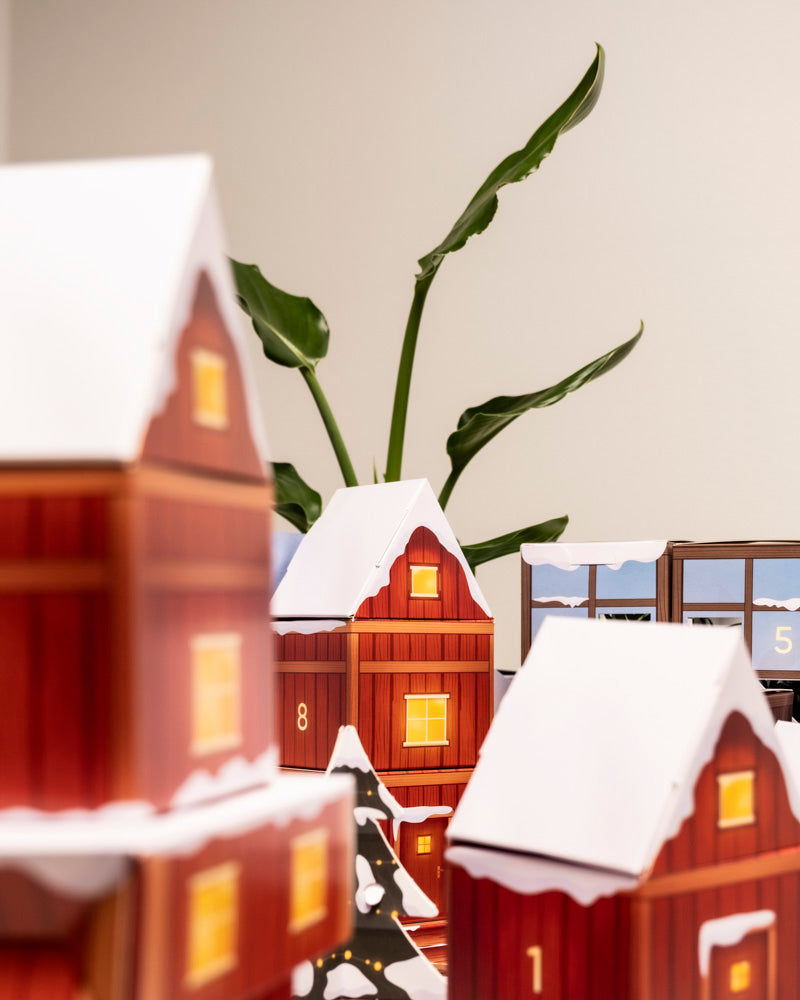 Eine Nahaufnahme des Pflanzen Adventskalenders (Dschungel-Version) zeigt dekorative Miniaturhäuser mit schneebedeckten Dächern und nummerierten Türen. Im Hintergrund steht eine üppige grüne Pflanze mit großen Blättern vor einer hellen Wand.