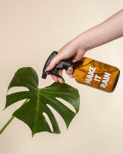 Eine Hand besprüht ein großes Monstera-Blatt mit dem Pflanzensprüher mit der Aufschrift "MAKE IT RAIN" vor einem beigen Hintergrund.
