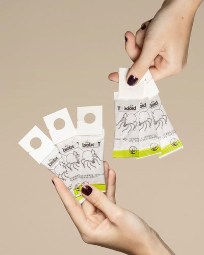 Zwei Hände halten mehrere Packungen "Raubmilben gegen Thripse" mit weißem Deckel, grünem Boden und einer Ziege, die Nützlingen wie Raubmilben bei der Bekämpfung von Thripsen helfen soll, vor einem beigen Hintergrund.