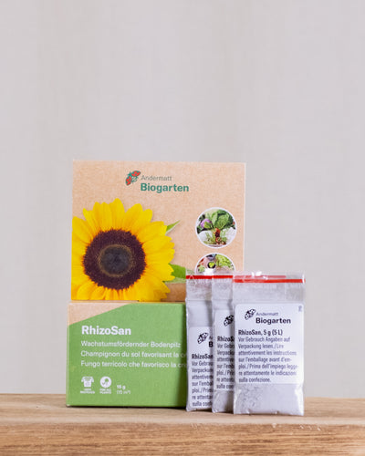 RhizoSan Verpackung und ausgepackter Inhalt – drei Beutel mit RhizoSan Pulver. 