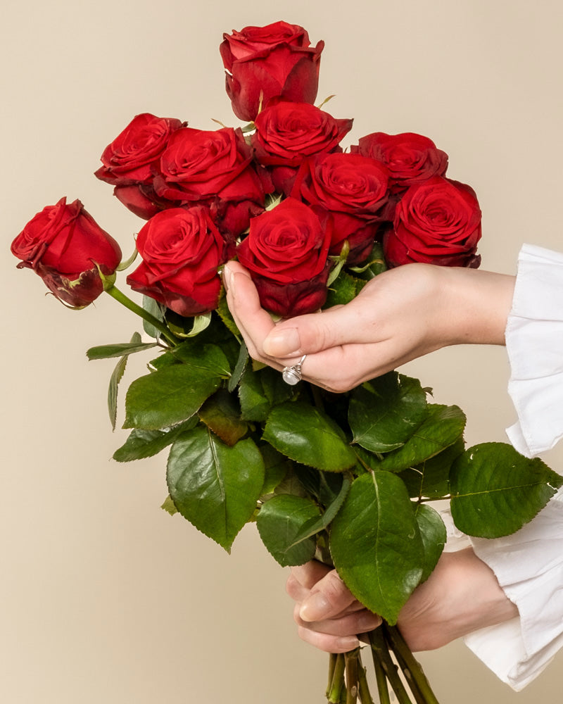 Eine Person in weißem Langarmtop hält vor beigem Hintergrund einen Strauß "Rote Rosen" mit üppigem Blattgrün - der Klassiker für jede Liebeserklärung.