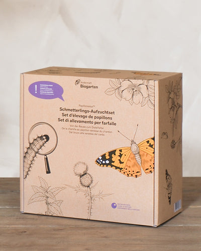Aufzuchtset für Schmetterlinge in der Verpackung