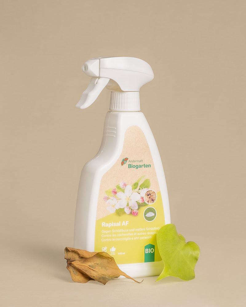 Spray gegen Schädlinge mit einem verwelkten und einem grünen Blatt als Dekoration