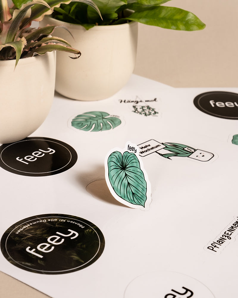 Eine Vielzahl von Aufklebern mit Pflanzenmotiven liegen auf einer flachen Oberfläche neben zwei Topfpflanzen. Der feey Stickerbogen zeigt Designs wie ein großes grünes Blatt, einen Kaktus in einem Topf und runde Logos mit dem Text „feey“ in Schwarzweiß. Der Hintergrund ist in einem neutralen Beige gehalten.