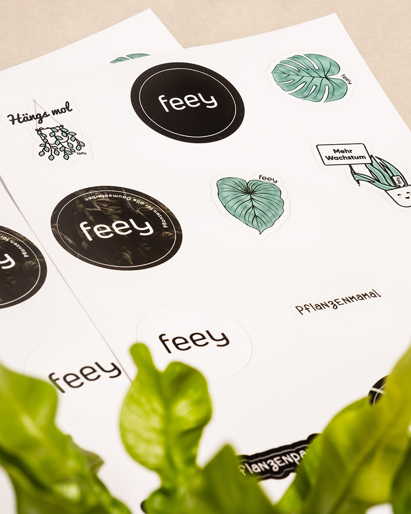 Zwei Bögen hochwertiger feey Stickerbogen mit dem Wort „feey“ in verschiedenen Designs sowie Pflanzenmotiven wie Blättern und Pflanzen liegen auf einer Fläche. Im Vordergrund sind einige leuchtend grüne Pflanzenblätter zu sehen.